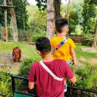 Family One day Trip in Zoo 🦒🐏🦌