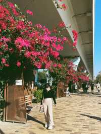 一次過睇海同埋花既地方！