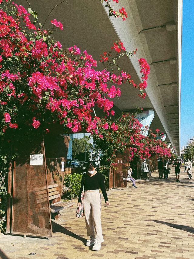 一次過睇海同埋花既地方！