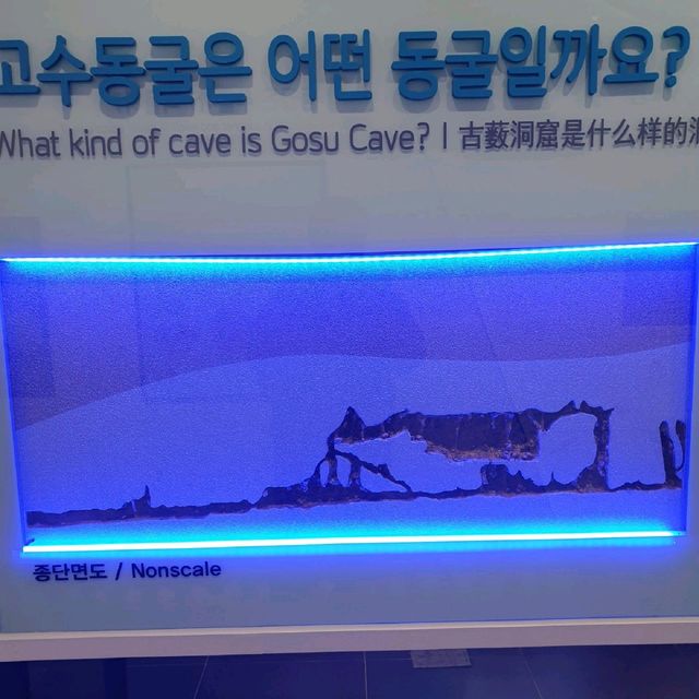 시원하고 웅장한 단양 고수동굴!