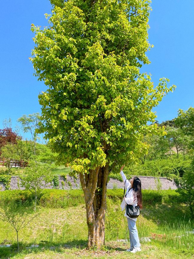 부산 봄나들이 가기 좋은 해운대 수목원 🌿