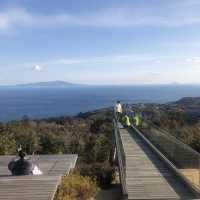 【小室山】大室山にも負けない絶景スポット！