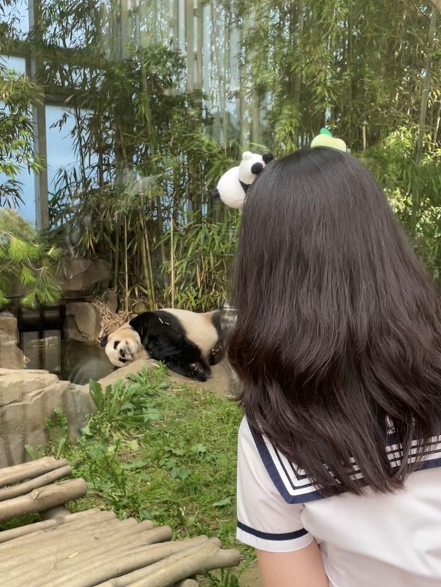 어른도 언제나 꿈꿀 수 있는 에버랜드🎡🎢🎠