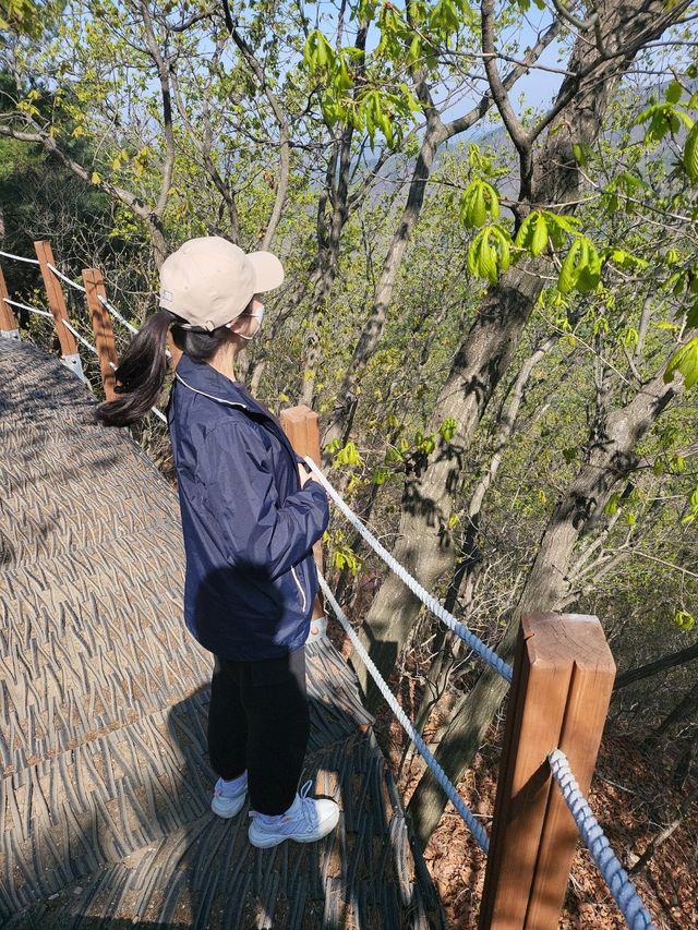 💛광교산 등산💛
