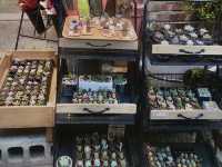 익선동한옥거리