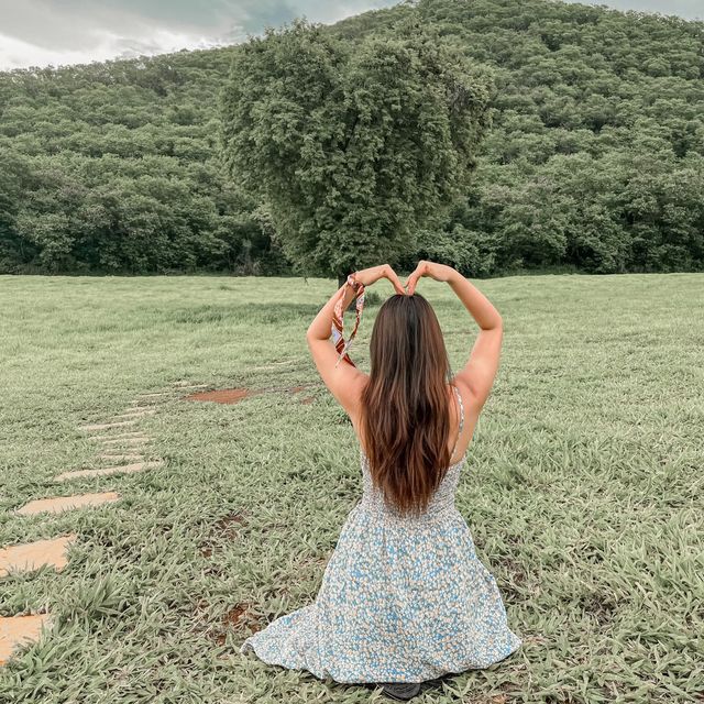 หนีเขาไปเจอเขา .. ที่เขาใหญ่ 🌳🤍