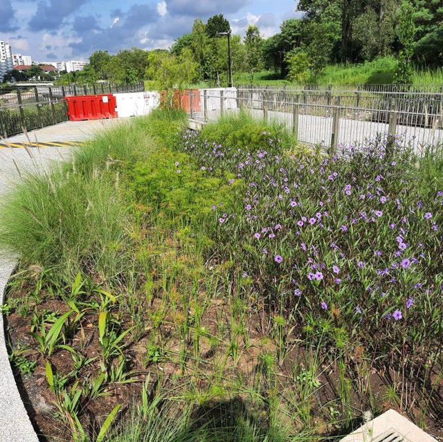 An EcoPark in Tampines 