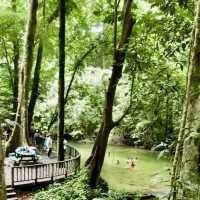 Clearwater Cave - Mulu National Park, MZV