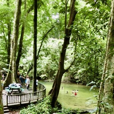 Clearwater Cave - Mulu National Park, MZV
