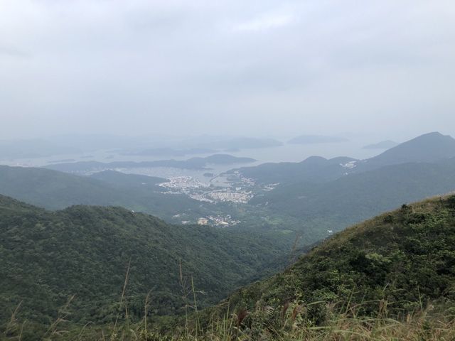 睇到半個九龍景色的飛鵝山😍