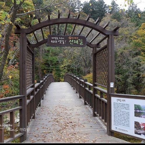 단풍명소_오대산 선재실