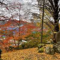 【兵庫県】鳥居と紅葉が美しい秋の有子山稲荷神社へ！