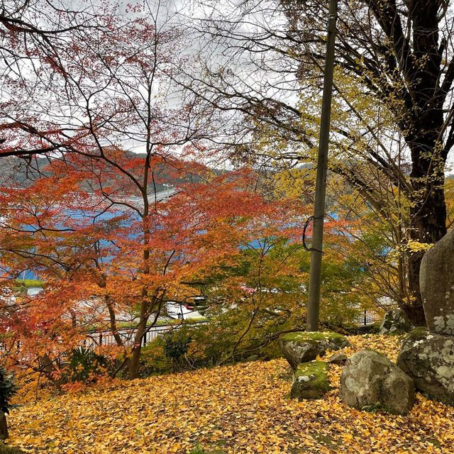 【兵庫県】鳥居と紅葉が美しい秋の有子山稲荷神社へ！