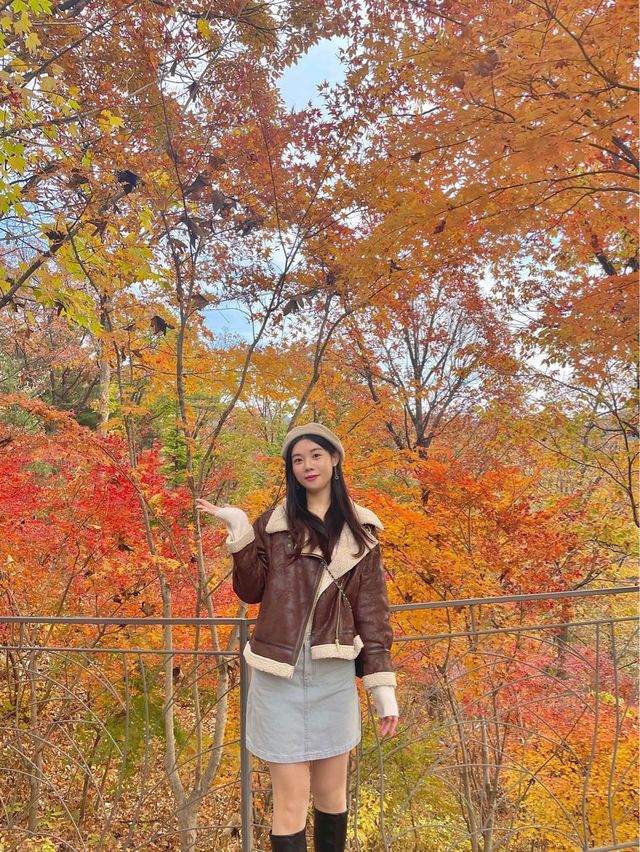 단풍여행에서 꼭 가야할 화담숲✨