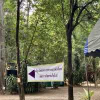ทำบุญสวนป่าสมุนไพร@วัดปลักไม้ลาย