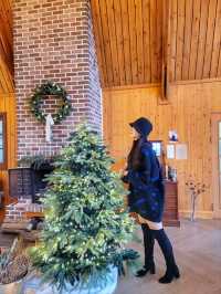 숲속산장에서 크리스마스 즐기는 기분, 청도 카페월든🎄