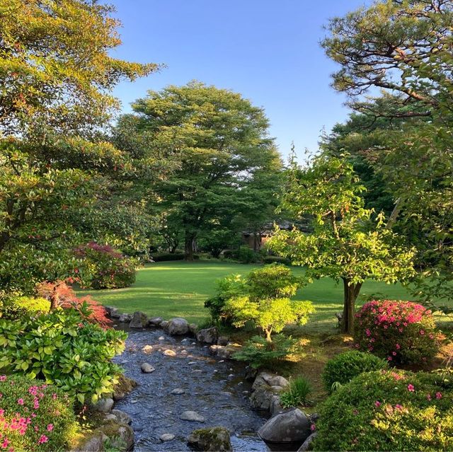 【兼六園】早朝が最高☀️