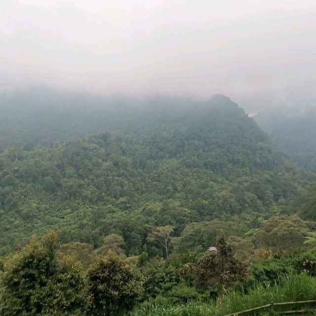 Istana Panda Taman safari Indonesia Bogor.