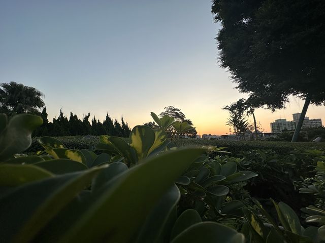Sunrise at Fortaleza do Monte