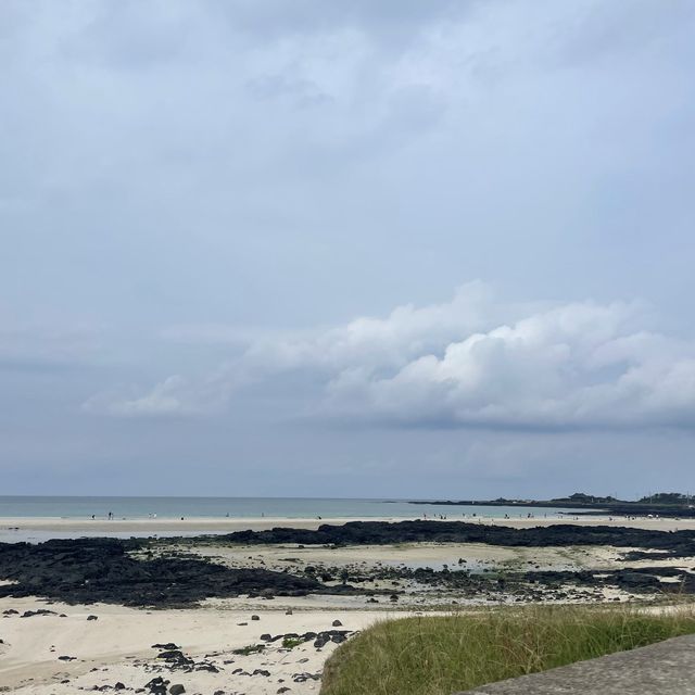 제주 동쪽 힐링하기 좋은 세화해변