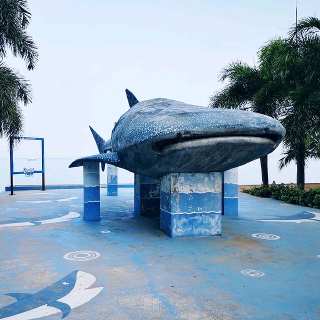 คุ้มมาก​ เมื่อเดินเล่น​ หาดบางเสร่​ ยามเช้าตรู่​