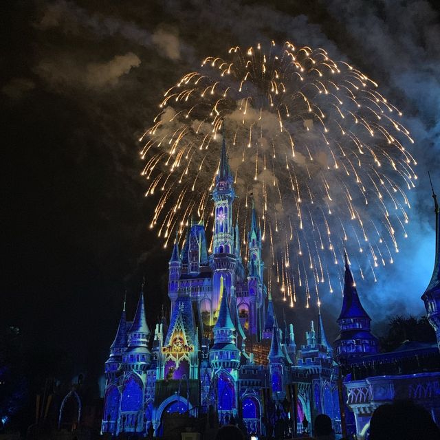 디즈니인턴생이 알려주는 디즈니월드 꿀팁 🏰💖