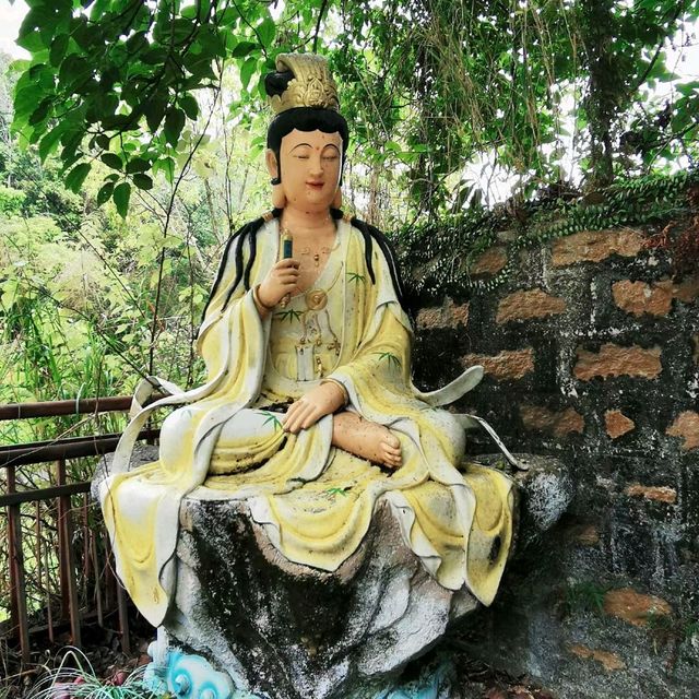 一條梵音裊裊的密林小路