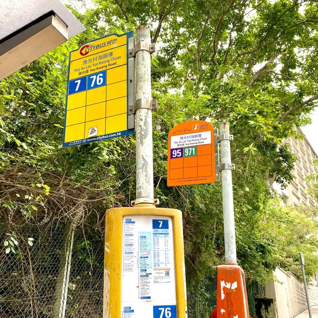 [香港仔水塘］✅老少咸宜 市區郊外美景👍