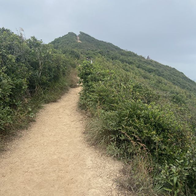 【港島區新手靚景行山路線】
