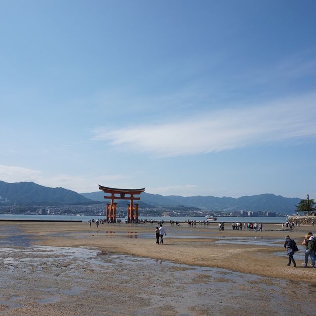 【広島】宮島のベストスポット⛩厳島神社
