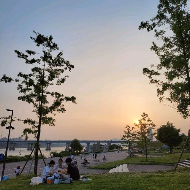한강은 아마 피크닉의 성지