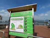吐露港花園 近距離望吐露港