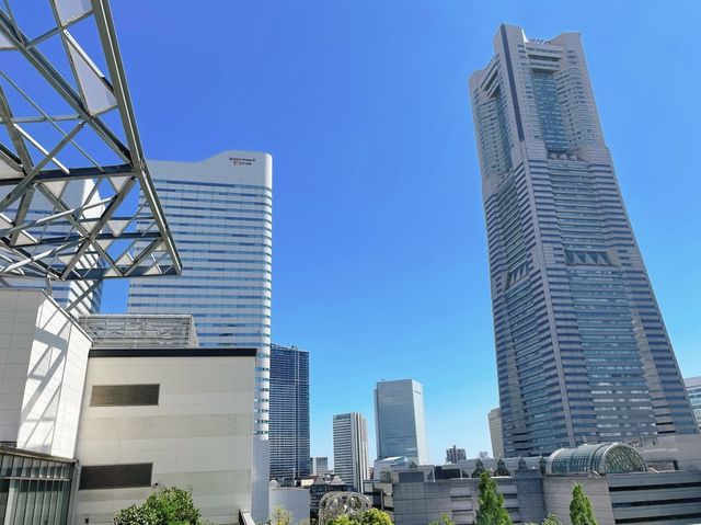 【MARK IS みなとみらい屋上/みんなの庭】