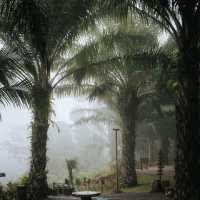 ทิวเขา Coffee คาเฟ่ ที่วิวสวย และปังที่สุดอีกแห่ง 