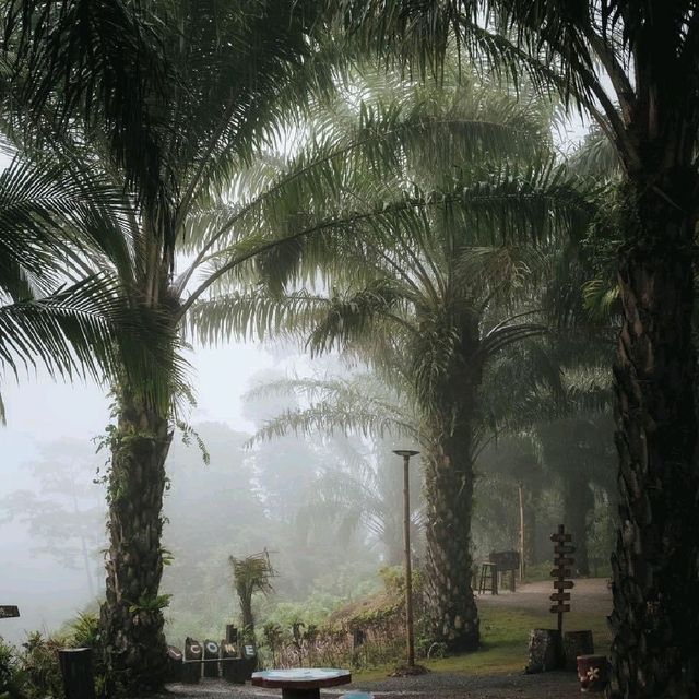 ทิวเขา Coffee คาเฟ่ ที่วิวสวย และปังที่สุดอีกแห่ง 