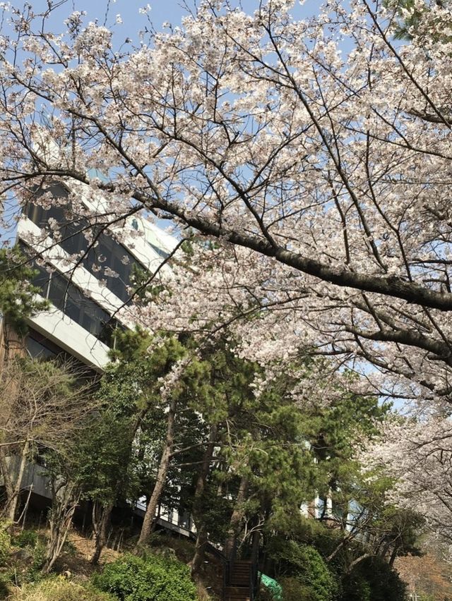 부산 해운대 달맞이길 걸어서 구경하기 