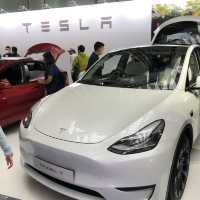 Tesla電車展 大小朋友都岩