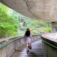 滿滿荒涼幽靜感～城中天橋秘景