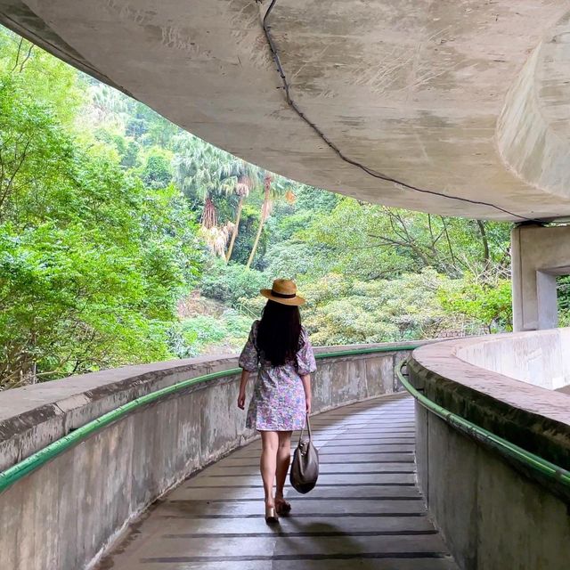 滿滿荒涼幽靜感～城中天橋秘景