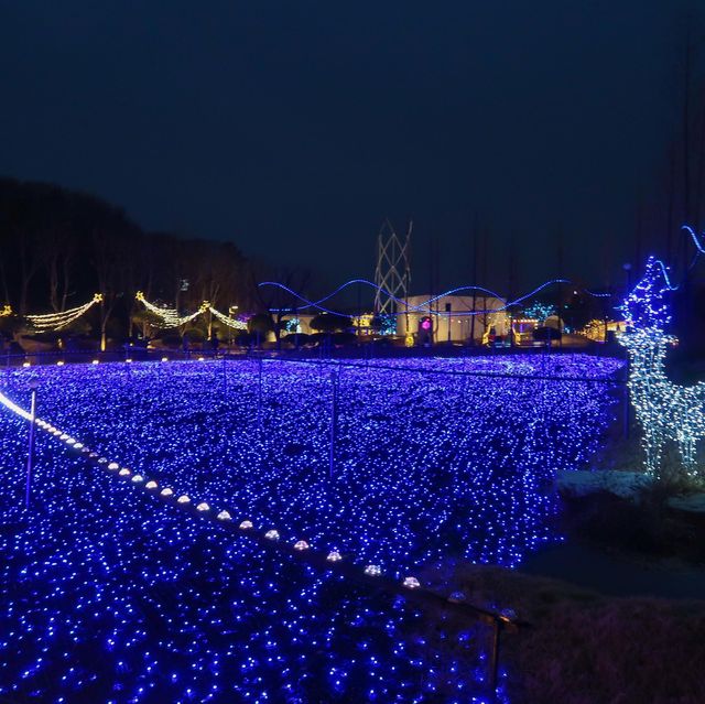 이천 야경핫플 별빛정원우주 라이팅쇼 필수관람✨