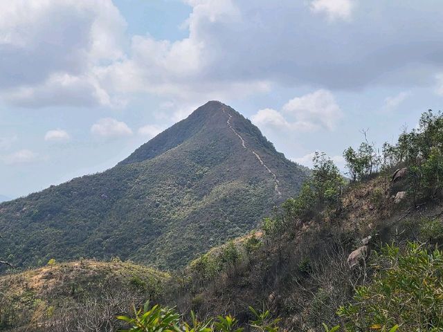 傳說中的第四尖~針山⛰️