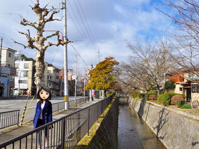 京都出名哲學之道