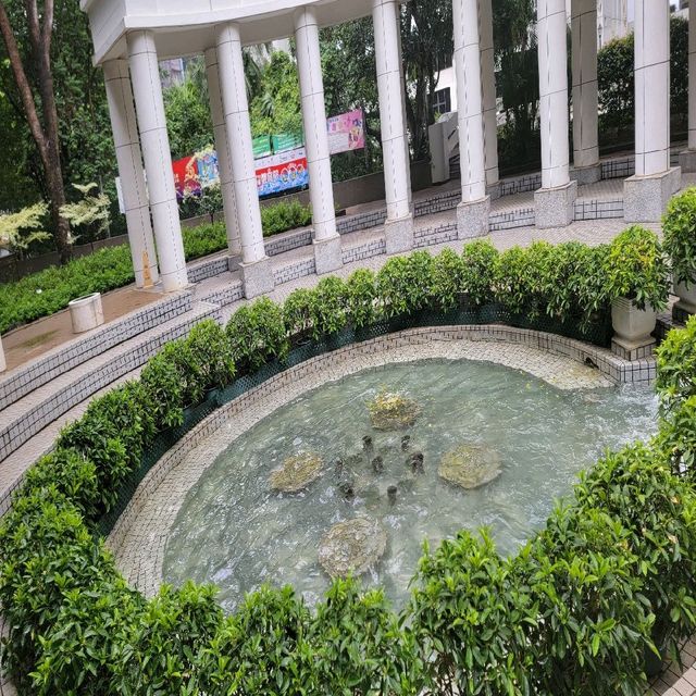 香港的城市綠洲🏕🏖