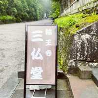 【栃木県】世界遺産「日光山輪王寺」へ！