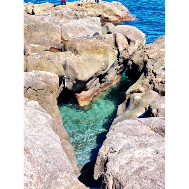 🌊역대급 포항 오션뷰 카페, 오딘