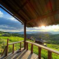 นาขั้นบันได ป่าบงเปียง, Chiangmai, Thailand 