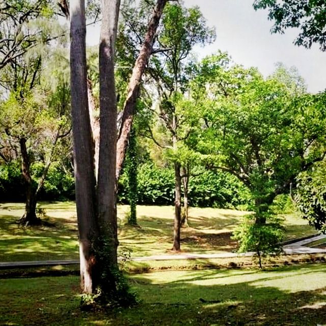 Saint John Island(located off singapore)