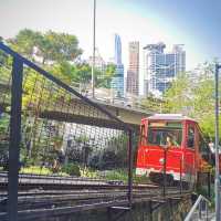 Relaxing and recharging with Tram view cafe 