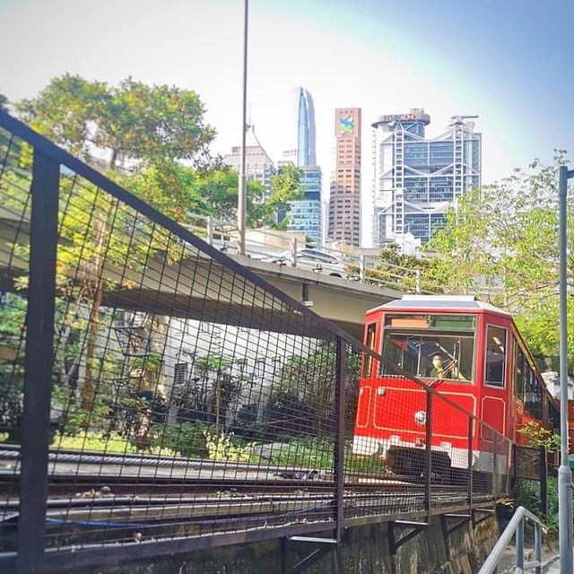 Relaxing and recharging with Tram view cafe 