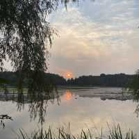 The autumn view of Ilwol park